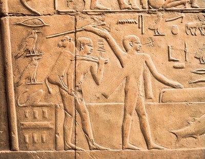 Sceny prac rolnych, szczegóły autorstwa Egyptian 4th Dynasty