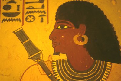Starożytny Egipt, Malowidło ścienne/mural/fresk, Grobowiec Sennufera, Teby/Luksor, Sennufer trzymający berło, burmistrz Teb, nadzorca Amenophisa II autorstwa Egyptian Egyptian