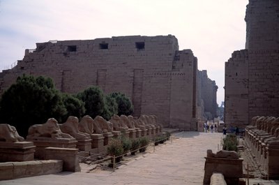 Starożytność egipska: allee (dromos) kriosfinksa (Sfinks na czele wierzących) w Karnaku, Luksorze, Egipt autorstwa Egyptian Egyptian