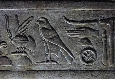 Hieroglyps, Pszczoła Faraona i Sokół Horusa, Świątynia Horusa, Edfu autorstwa Egyptian Egyptian