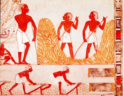 Scena żniw w starożytnym Egipcie (Fresco autorstwa Egyptian Egyptian