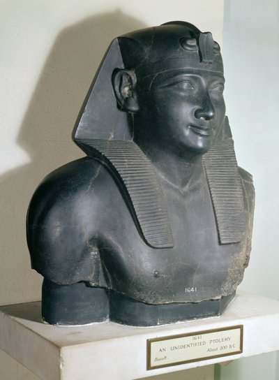 Fragment posągu w stylu egipskim Ptolemeusza I, 305-283 pne (bazalt) autorstwa Egyptian Ptolemaic Period