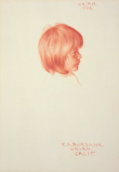 Ukiah autorstwa Elbridge Ayer Burbank
