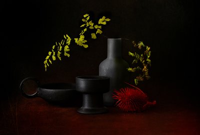 Mroczna martwa natura z motywami roślinnymi autorstwa Elena Arjona