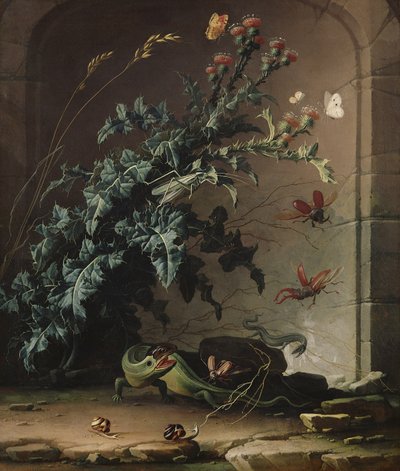 Kamienna nisza z osetem, jaszczurką i owadami, 1690 autorstwa Elias van den Broeck