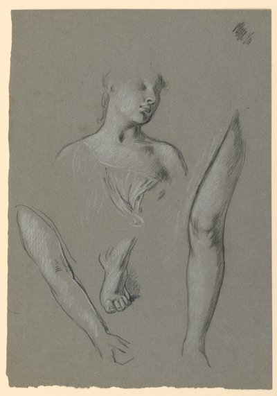 Szczegóły badań figur autorstwa Elihu Vedder