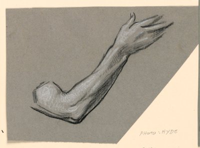 Rysunek, szczegół ramienia, ok. 1885 r. autorstwa Elihu Vedder