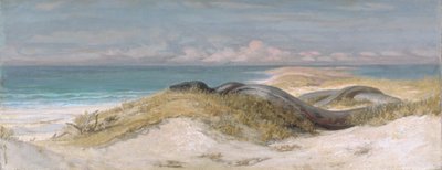  autorstwa Elihu Vedder