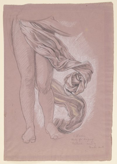 Studiuj dla „Fortuny” autorstwa Elihu Vedder