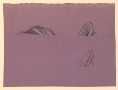 Studiuj dla „Fortuny” autorstwa Elihu Vedder