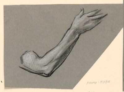 Studium ramienia autorstwa Elihu Vedder