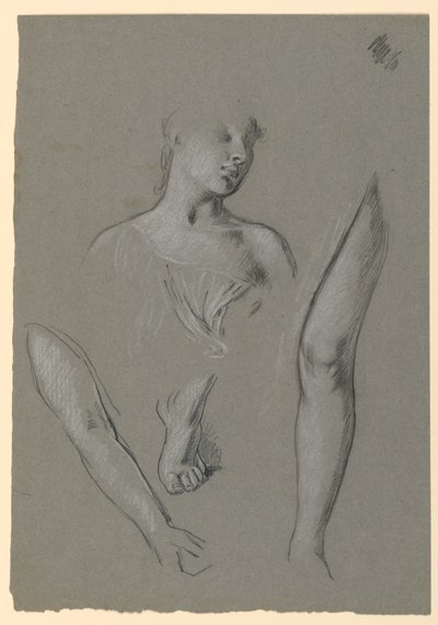 szczegóły badań figury autorstwa Elihu Vedder