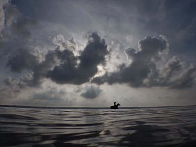 Horse Horizon, 2014 (sitodruk) autorstwa Elinleticia Högabo