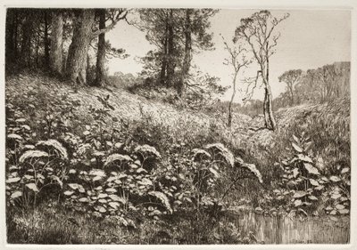 Letnie popołudnie, 1882. autorstwa Elis F. Miller