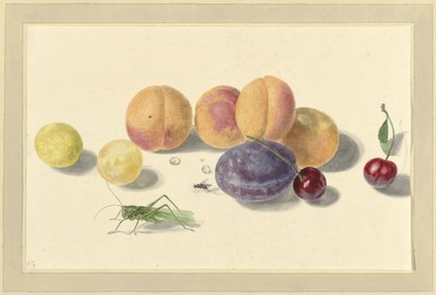 Brzoskwinie, śliwki, wiśnie i dwa owady autorstwa Elisabeth Geertruida van de Kasteele
