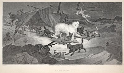 Polowanie na niedźwiedzie, ilustracja z "Drugiej wyprawy Grinnell w poszukiwaniu Sir Johna Franklina...", 1856 autorstwa Elisha Kane