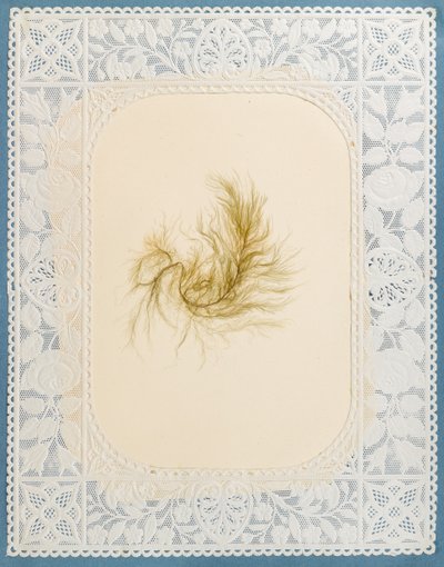Wodorosty autorstwa Eliza A. Jordson