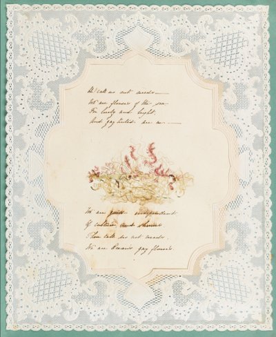 Wodorosty autorstwa Eliza A. Jordson