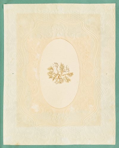Wodorosty autorstwa Eliza A. Jordson