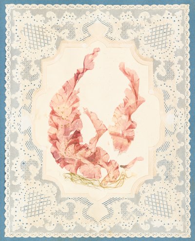 Wodorosty autorstwa Eliza A. Jordson