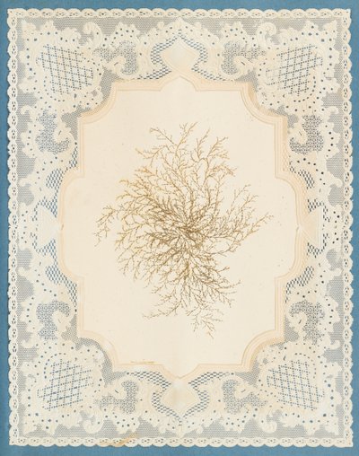Wodorosty autorstwa Eliza A. Jordson