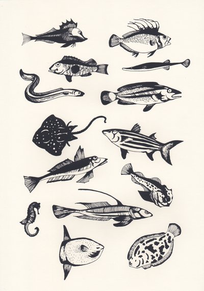Monotone Plain Fish, 2015 (sitodruk) autorstwa Eliza Southwood