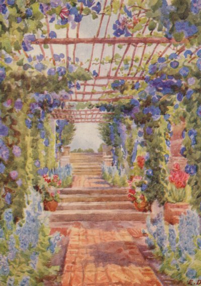 Pergola pokryta niebieskim Ipomoea Learii de Grendel, Tygerberg (kolorowa litografia) autorstwa Elizabeth Drake