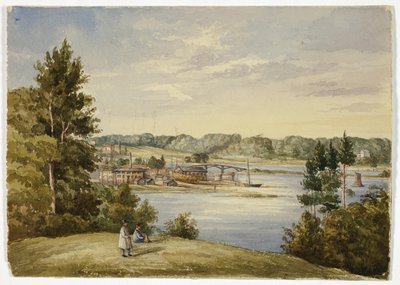Widok z Sydney autorstwa Elizabeth Murray