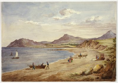 Widok na wzgórza Wicklow autorstwa Elizabeth Murray