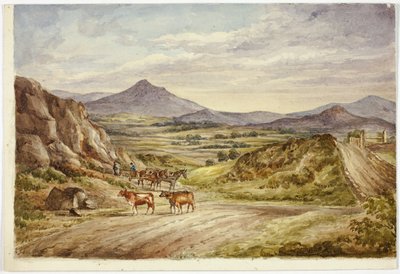 Wzgórza Wicklow autorstwa Elizabeth Murray