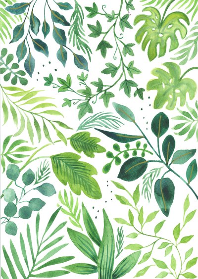 Leafy Medley, 2018 (akwarela) autorstwa Elizabeth Rider