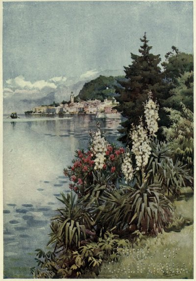 Grupa juk, Villa Melzi, Lago di Como, ilustracja z „Włoskich jezior” Richarda Bagota autorstwa Ella Du Cane