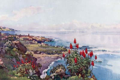 Puerto Orotava (członkowie kolorowi) autorstwa Ella Du Cane