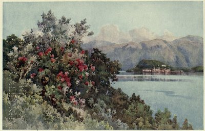 Róże, Villa Carlotta, Lago di Como, Ilustracja z „Włoskich jezior” Richarda Bagot autorstwa Ella Du Cane