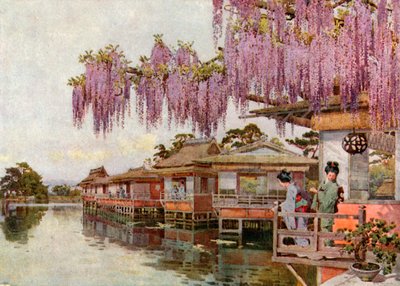 Wistaria, Nagaoka (kolorowa litografia) autorstwa Ella Du Cane