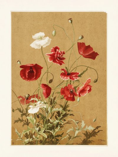 „Maki nr 3” autorstwa Ellen Thayer Fisher autorstwa Ellen Thayer Fisher