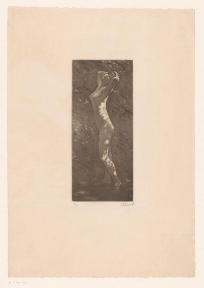 Naga kobieta w słońcu autorstwa Ellinnot (signed by artist)