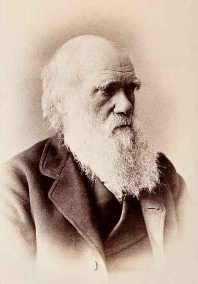 Karol Darwin: angielski przyrodnik autorstwa Elliott und Fry Studio