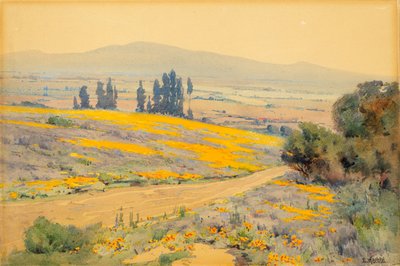 Kalifornijski wiosenny krajobraz, ca. 1920. autorstwa Elmer Wachtel