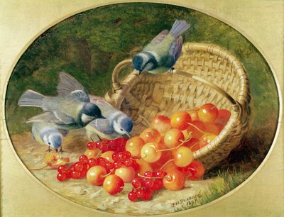 Bluetits dziobanie wiśni, 1897 autorstwa Eloise Harriet Stannard