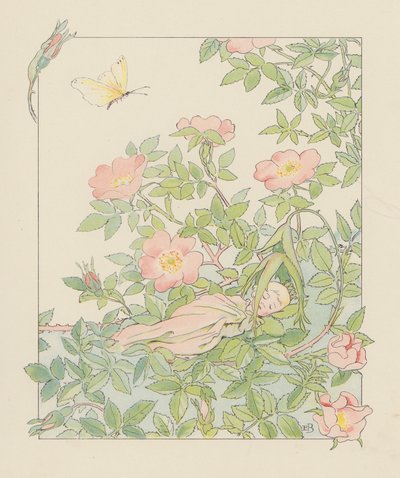 Ilustracja dla Blondchen in Bluten (kolorowa litografia) autorstwa Elsa Beskow