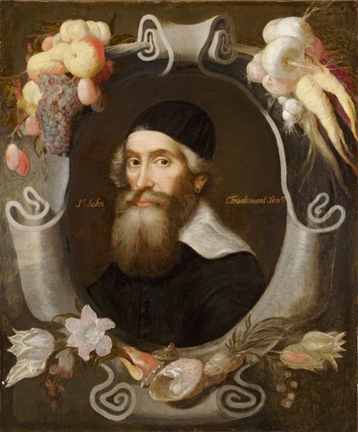 Jan Tradescant Starszy, XVII wiek autorstwa Emanuel de Critz