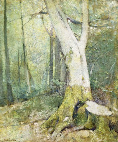 Wnętrze leśne autorstwa Emil Carlsen