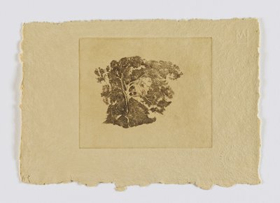 Studium drzewa (fm. portfolio) autorstwa Emil Carlsen