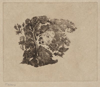 Badanie drzewa autorstwa Emil Carlsen