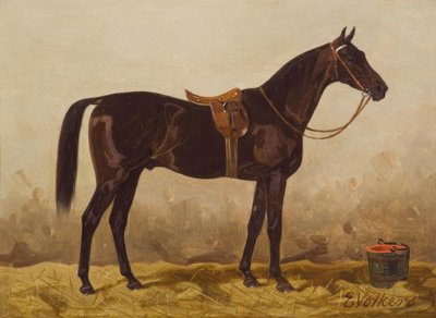E. Volkers, Gesattelter Rappe autorstwa Emil Volkers
