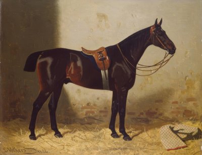 Portret konia autorstwa Emil Volkers