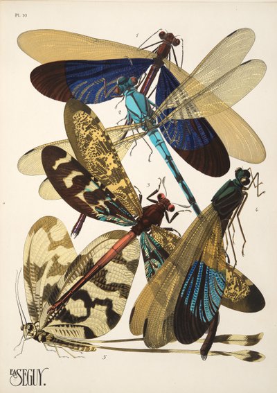 Talerz 10 z Owady, wyd. 1930 (odbitka w pochoirze) autorstwa Émile Allain Séguy