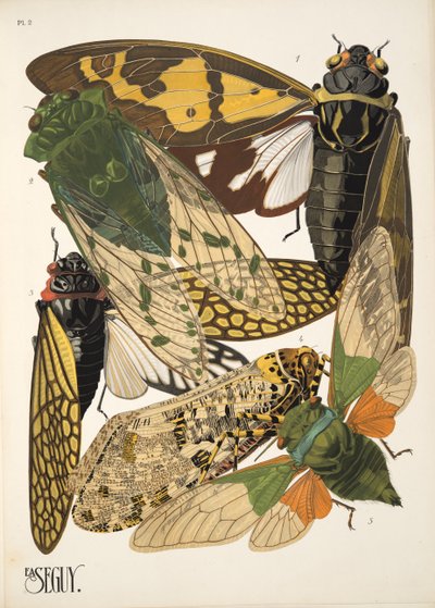Talerz 2 z Owady, wyd. 1930 (odbitka w pochoirze) autorstwa Émile Allain Séguy