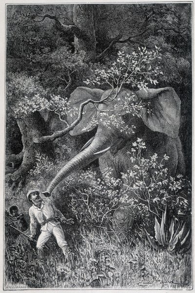 Livingstone zaskoczony przez słonia, w „Le Tour du Monde” autorstwa Emile Antoine Bayard